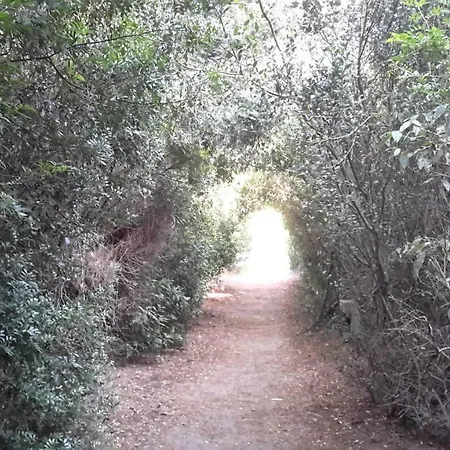 Serra Degli 1app220 אלימיני